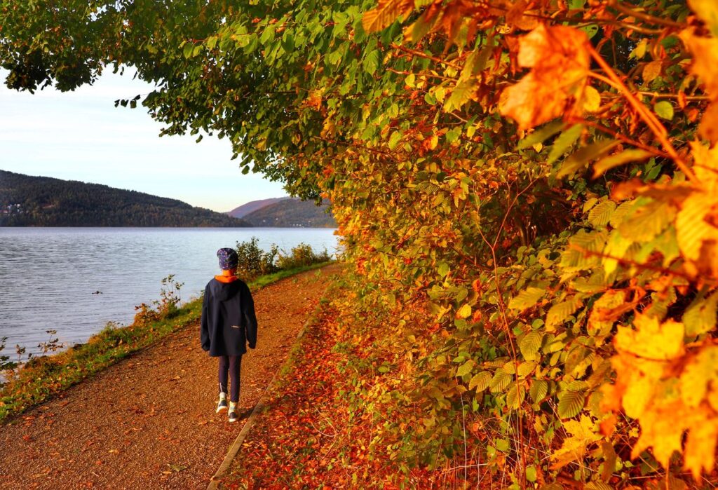 Dziecko spacerujące wzdłuż Jeziora Żywieckiego, jesień