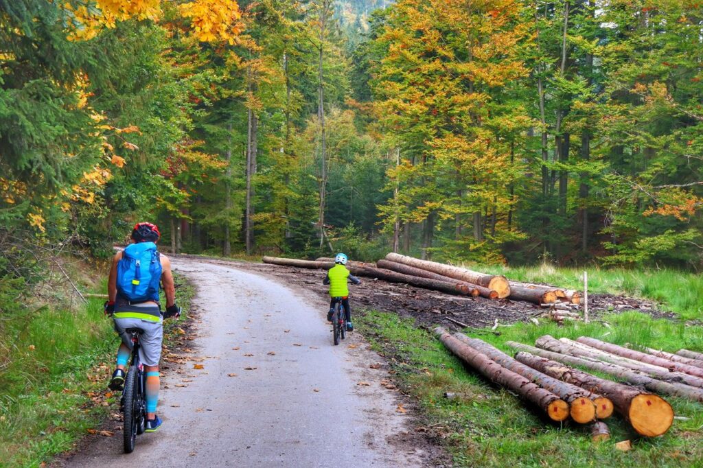 Mężczyzna z dzieckiem na rowerze na szlaku żółtym Źródła Olzy w Istebnej, droga leśna w jesiennych barwach
