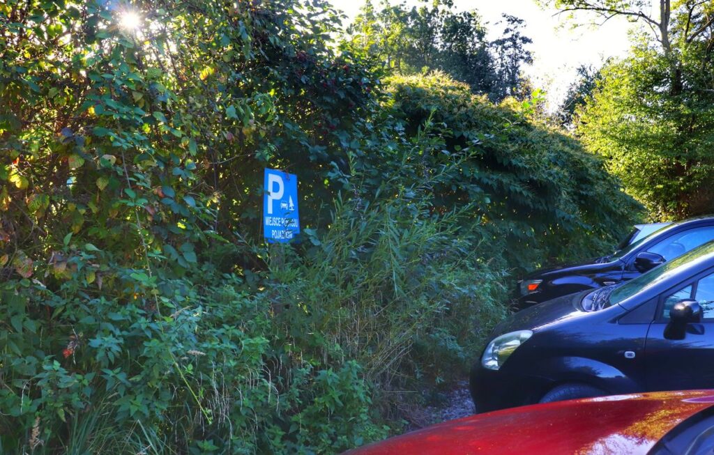 Niebieski znak drogowy - parking - miejsce postoju pojazdów, Kozy