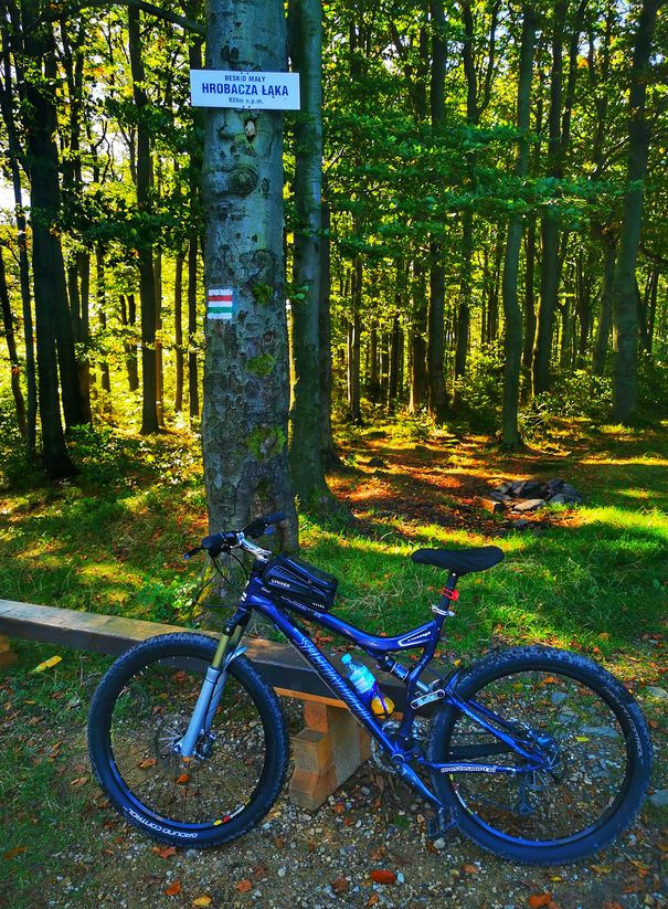 Rower oparty o drzewo, tabliczka oznaczająca szczyt Hrobacza Łąka w Beskidzie Małym, las