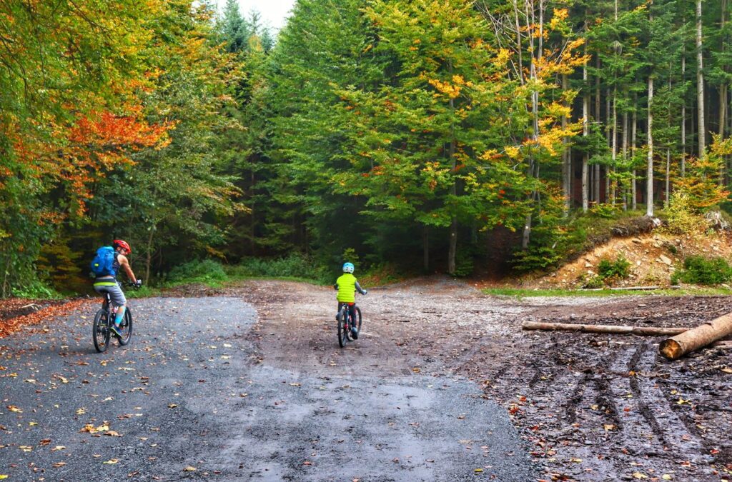 Rowerzyści - tata z dzieckiem na żółtym szlaku Źródło Olzy, droga leśna, jesień 