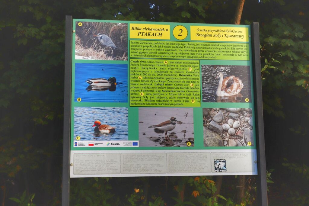 Tablica informacyjna 2 - Kilka ciekawostek o ptakach, ścieżka przyrodniczo-dydaktyczna brzegiem Soły - Jezioro Żywieckie