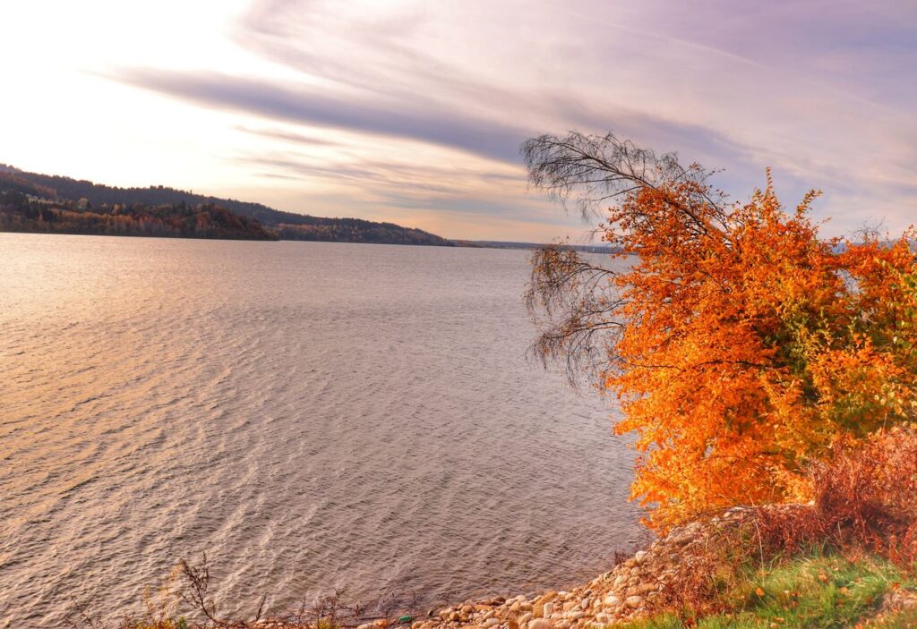 Widok na Jezioro Czorsztyńskie, jesień na zielonym szlaku Velo Czorsztyn, niebo zakolorowane przez zachodzące słońce
