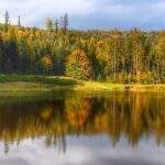 Widok na Zbiornik retencyjny OLZA, jesienne drzewa odbijające się w wodzie