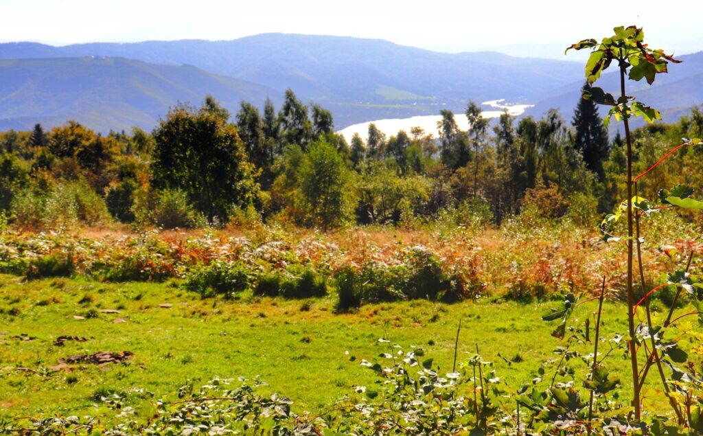 Jesienny krajobraz - Hrobacza Łąka w Beskidzie Małym