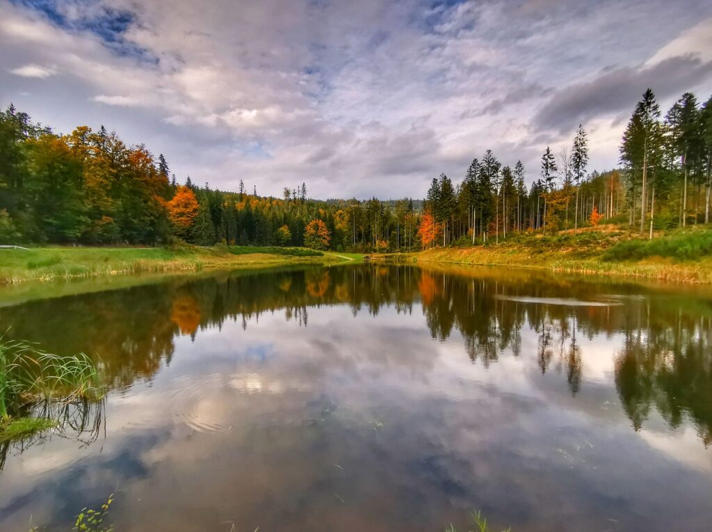 Widok na jesienny Zbiornik retencyjny OLZA, kolorowe drzewa i chmury odbijające się w wodzie