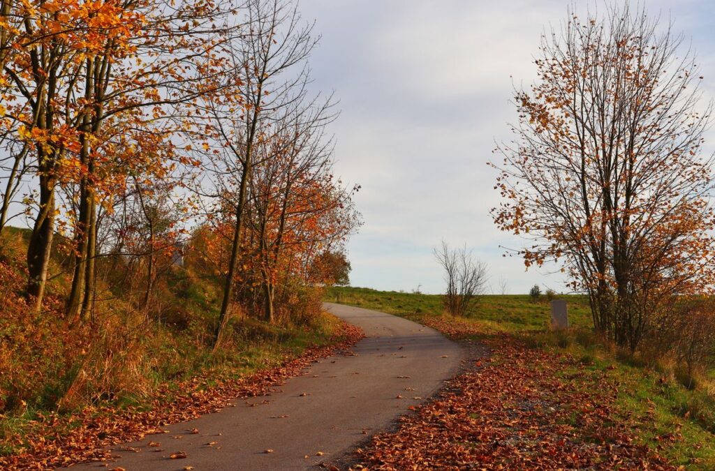 Pnąca się w górę droga prowadząca na polanę widokową na trasie rowerowej Velo Czorsztyn, jesień 