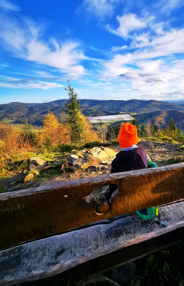Dziecko na szczycie Czupel Wiślański, podziwiające widoki górskie z drewnianej ławeczki z niedźwiedziem 