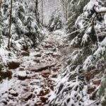 Kamienista ścieżka leśna pokryta śniegiem