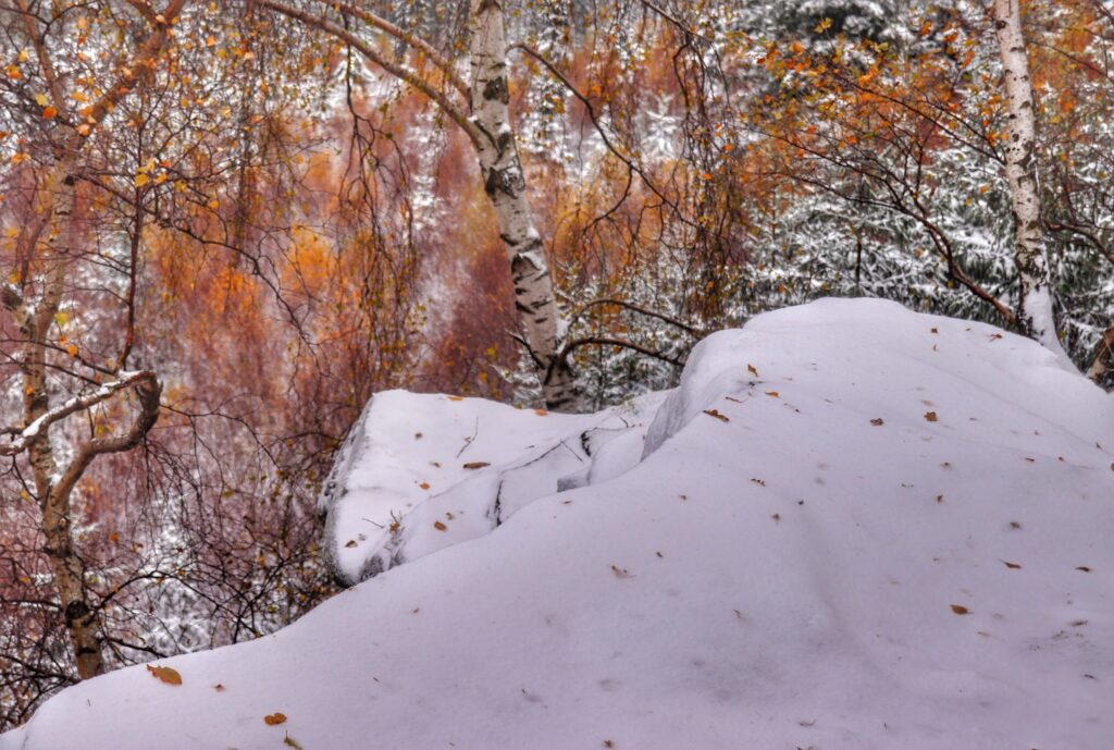 Kobyla Skała w Wiśle pokryta śniegiem, jesienne drzewa
