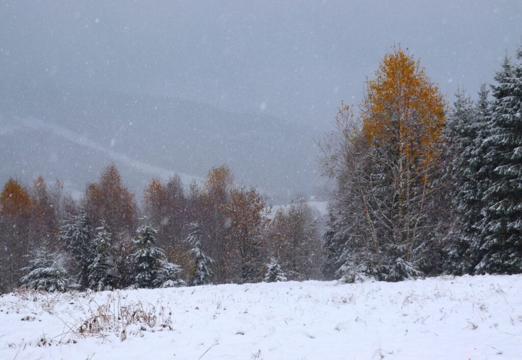 Polana na niebieskim szlaku w Wiśle, padający śnieg