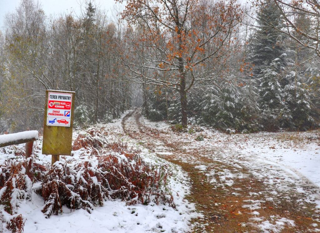 Miejsce wejścia szlaku niebieskiego w Wiśle w las, szeroka droga leśna, tabliczka - zakaz parkowania - teren prywatny, śnieg