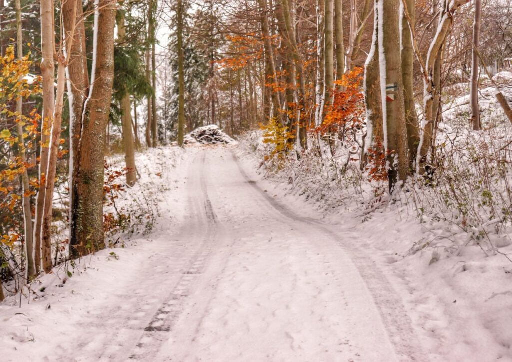 Szlak niebieski w Wiśle, szeroka droga pokryta śniegiem