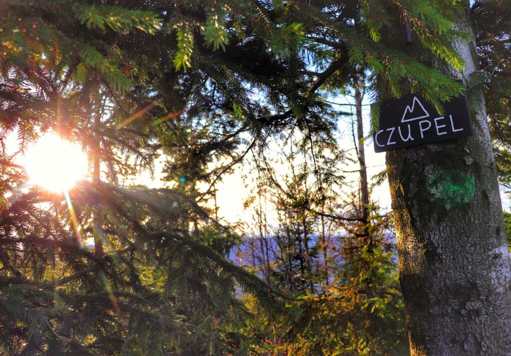 Tabliczka wisząca na drzewie, oznaczająca szczyt Czupel w Beskidzie Śląskim, słońce, drzewa