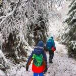 Turyści, beskidzki zimowy las