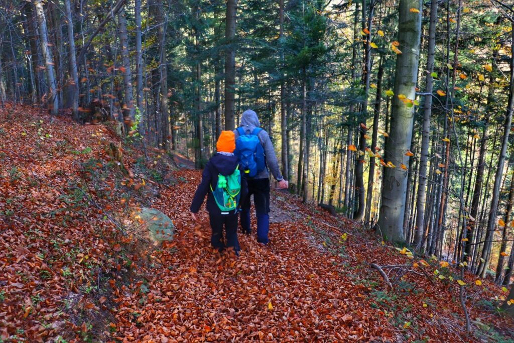 Turyści - dziecko , mężczyzna, strome zejście przez las na szlaku zielonym w Wiśle, jesienne, suche liście 