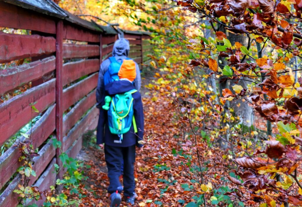 Turyści na wąskiej ścieżce prowadzącej wzdłuż drewnianego płotu, jesień