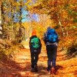 Turysta z dzieckiem, podejście szlakiem zielonym z Wisły Nowa Osada przez las, jesienne kolory