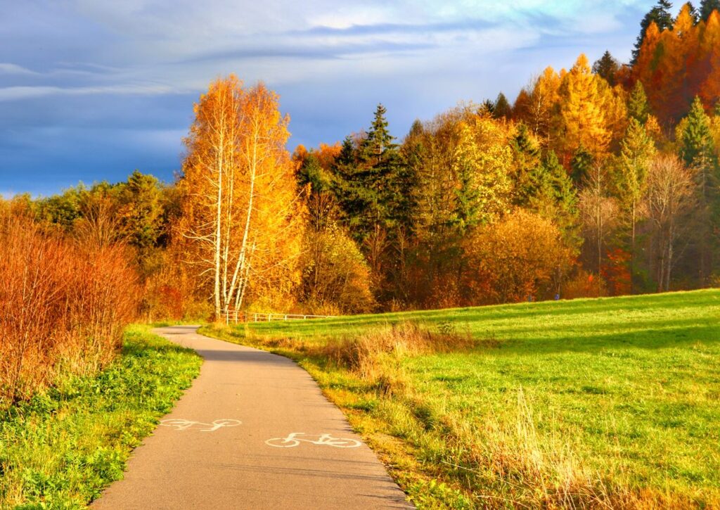Jesień na trasie rowerowej Velo Czorsztyn, droga asfaltowa oświetlona przez jesienne słońce