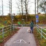 Most, mężczyzna z psem, rowerzyści