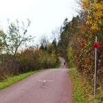 Stromy zjazd na trasie Velo Czorsztyn, 7 % nachylenia