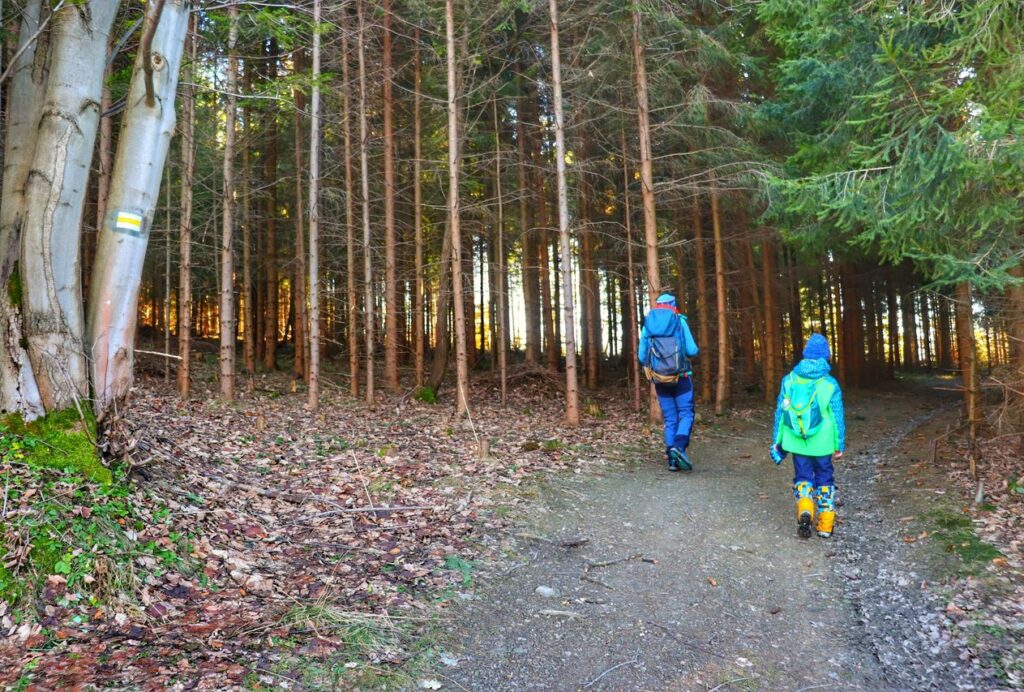 Turysta z dzieckiem, las, oznaczenie szlaku żółtego na drzewie 