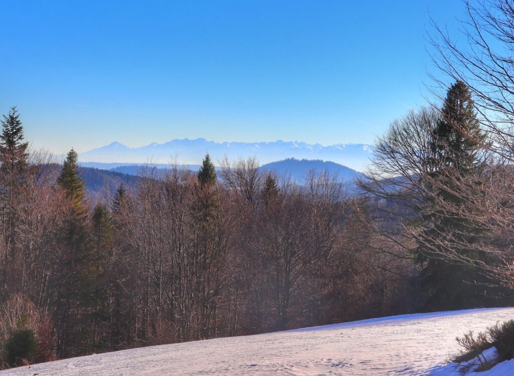 Widok na Tatry, szlak czarny, okolica Hali Uszczawne w Beskidzie Żywieckim, niebieskie niebo, zimowe popołudnie