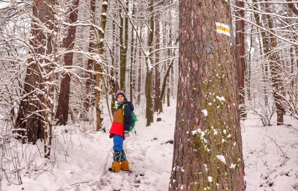 Dziecko na żółtym szlaku w Żywcu, las, śnieg