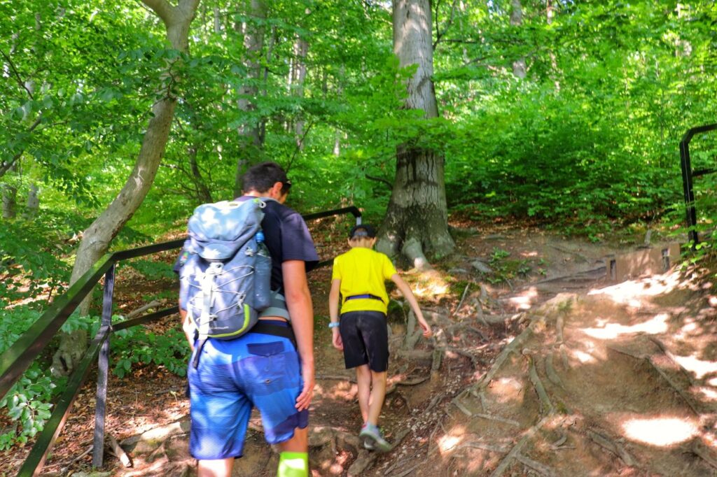 Turyści - dziecko z tatą, droga leśna, korzenie, szlak zielony w Ojcowskim Parku Narodowym 