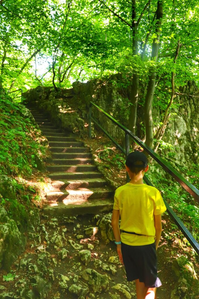 Kamienne schody, dziecko, szlak zielony w Ojcowskim Parku Narodowym, las