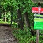 Leśna droga, czerwona tablica z napisem OJCOWSKI PARK NARODOWY, Czajowice szlak niebieski