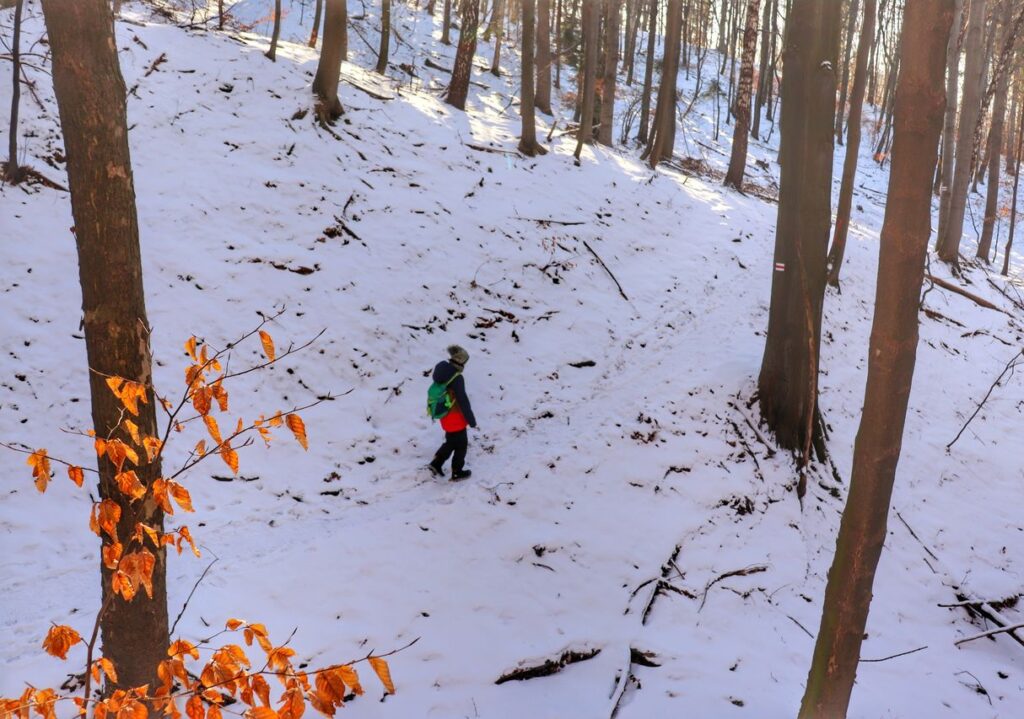 Mały turysta, dziecko na szlaku czerwonym w Beskidzie Małym, zimowy las