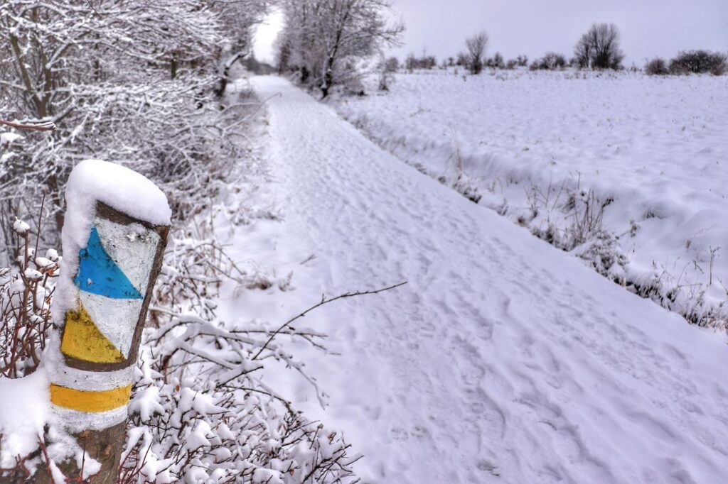 Niebieski szlak i żółty szlak na Grojec Średni w Żywcu, szeroka i zaśnieżona droga