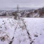 Polana, zaśnieżona droga na szlaku żółtym w Żywcu