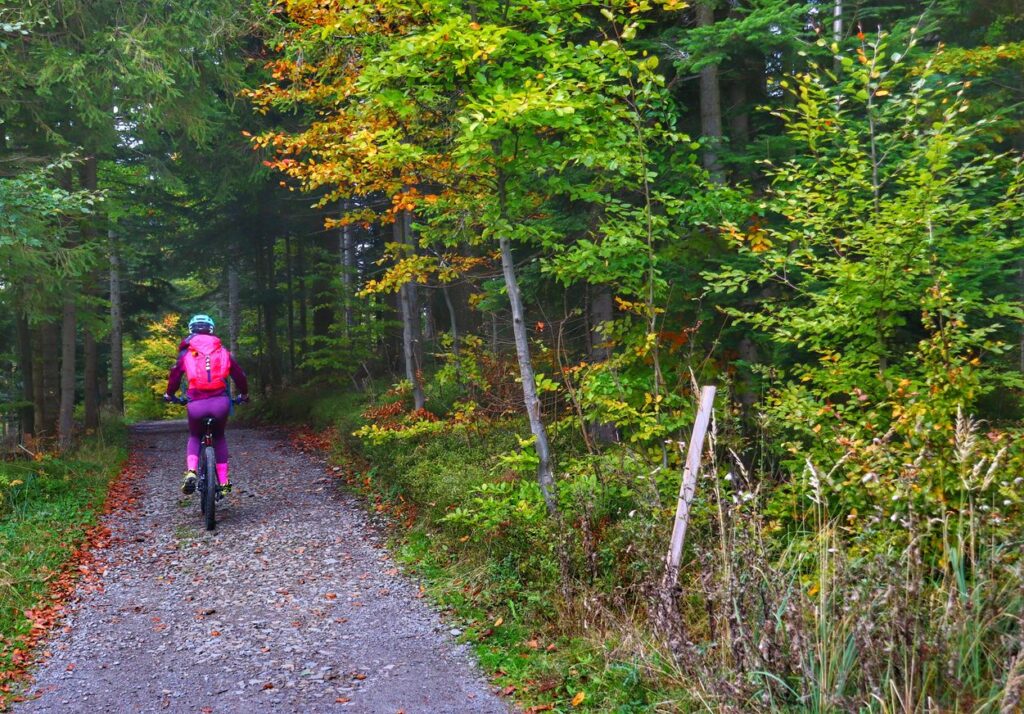 Rowerzystka na żółtym szlaku w Wiśle, droga prowadząca przez las, jesień