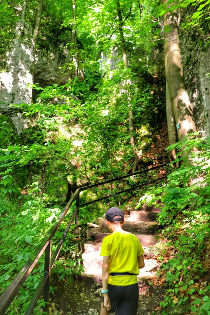 Schody na zielonym szlaku prowadzącym do Jaskini Ciemnej w Ojcowskim Parku Narodowym, dziecko