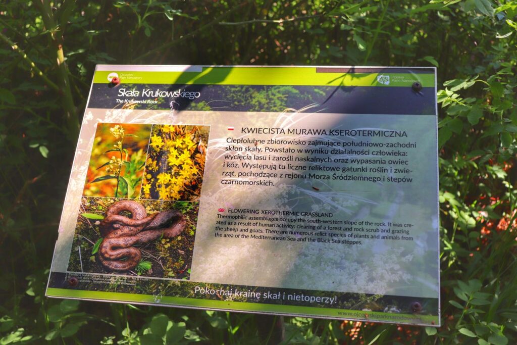 Skała Krukowskiego - tablica informacyjna na szlaku zielonym w Ojcowskim Parku Narodowym