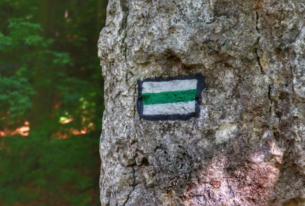 Skała, oznaczenie szlaku zielonego w Ojcowskim Parku Narodowym