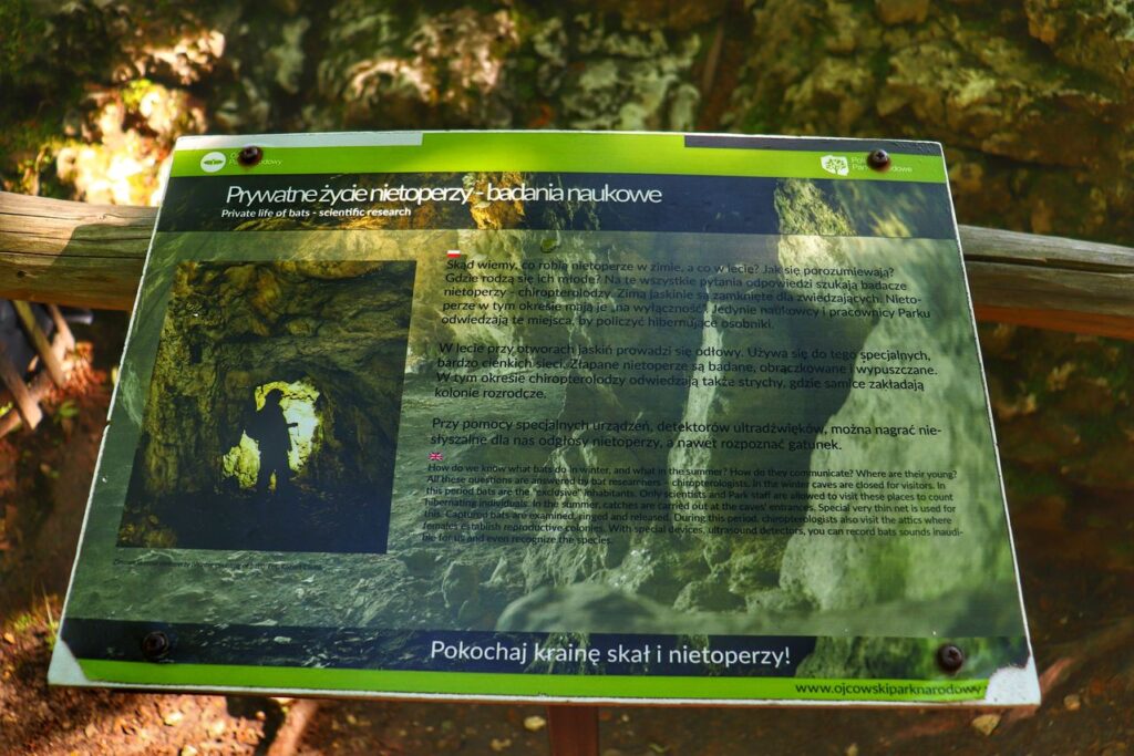 Tablica informacyjna - PRYWATNE ŻYCIE NIETOPERZY _ BADANIA NAUKOWE - przy Jaskini Ciemnej w Ojcowskim Parku Narodowym