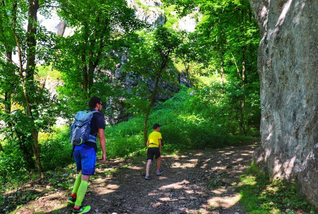 Turyści - mężczyzna z dzieckiem, szlak zielony w Ojcowskim Parku Narodowym, las, skały