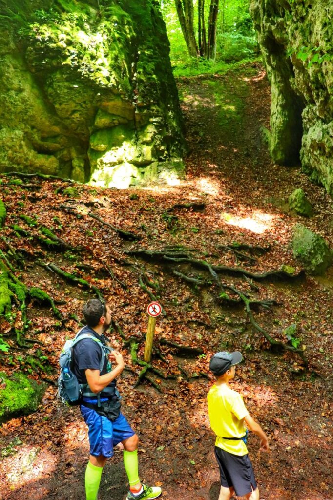 Turysta z dzieckiem, las, formacje skalne w Ojcowskim Parku Narodowym