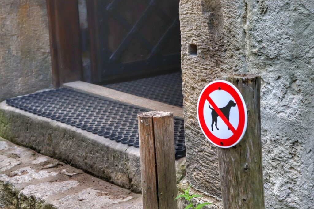 Wejście do WIEŻY GŁÓWNEJ - ZAMEK OJCÓW, zakaz wprowadzania psów