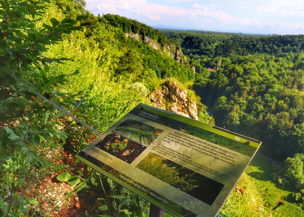 Widok rozciągający się z Góry Koronnej w Ojcowskim Parku Narodowym, tablica informacyjna - KSEROTERMICZNA MURAWA NASKALNA