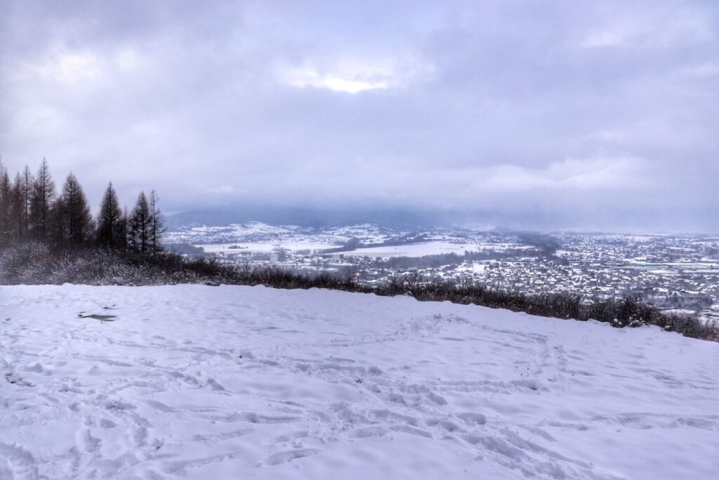 Widok rozciągający się ze wzgórza Grojec Średni w Żywcu, zima