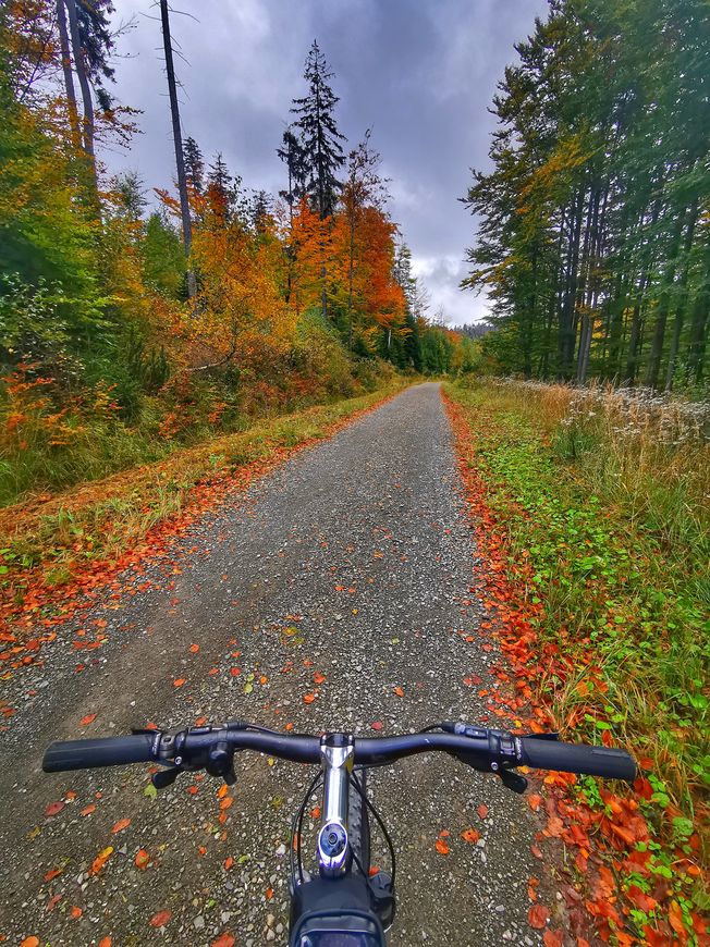 Wycieczka rowerowa po Beskidzie Śląskim - Szczyrk, szeroka droga leśna, jesień