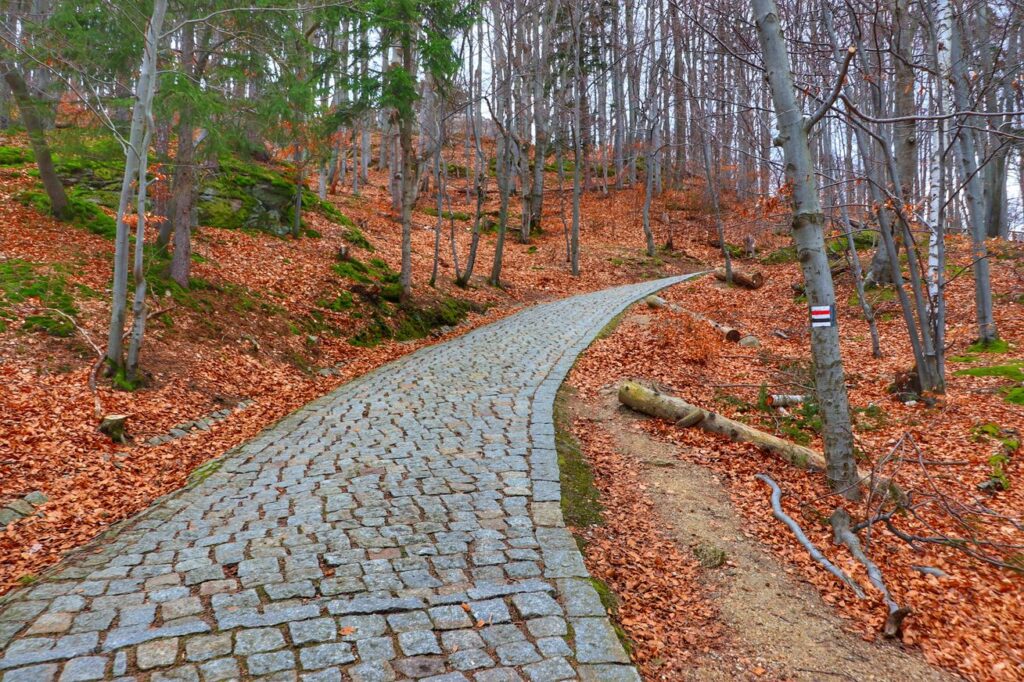 Brukowana droga leśna, szlak czarny i szlak czerwony - Zamek Chojnik w Karkonoszach