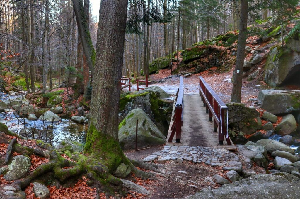Drewniany mostek, las, okolica Wodospadu Podgórnej