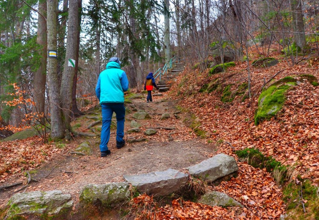 Leśna ścieżka, schody na szlaku żółtym na Górę Witosza