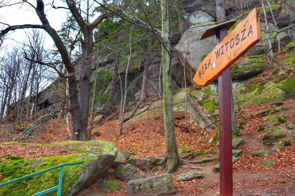 Leśna ścieżka, skały, szlak żółty - Góra - Witosza - Staniszów