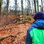 Podejście przez las, dziecko, okolice Skalnego Grzyba